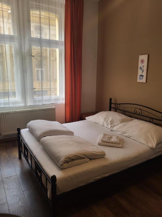 Sunflower Praag